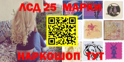 mdpv Владикавказ