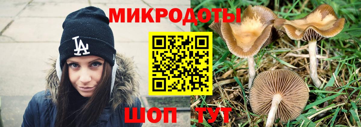Псилоцибиновые грибы прущие грибы  даркнет сайт  Вход с VPN  Бердск  Галлюциногенные грибы Magic Shrooms 